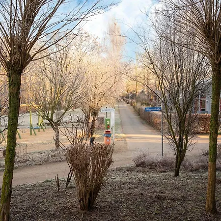 Elegant Eingerichtete *